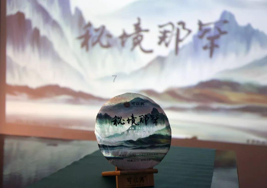 复仇机器人中文版